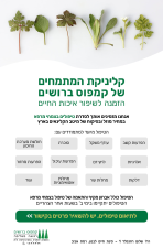 קמפוס ברושים