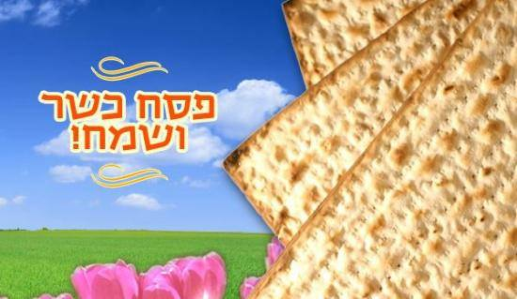 א.א. בניית אתרים א.א. בניית אתרים