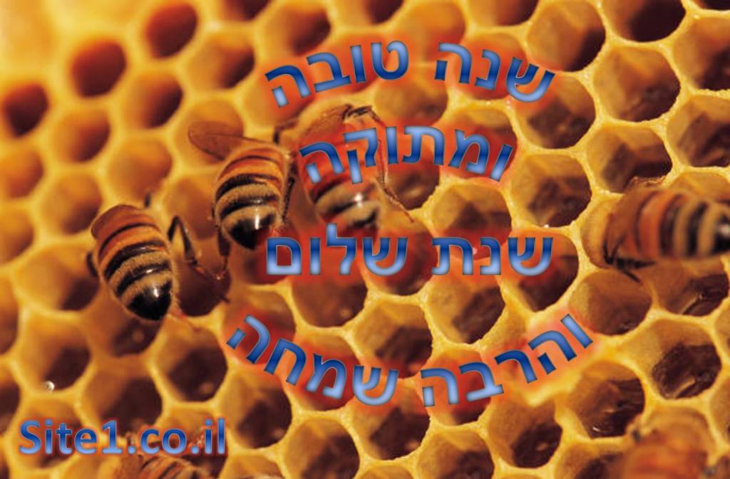 א.א. בניית אתרים א.א. בניית אתרים