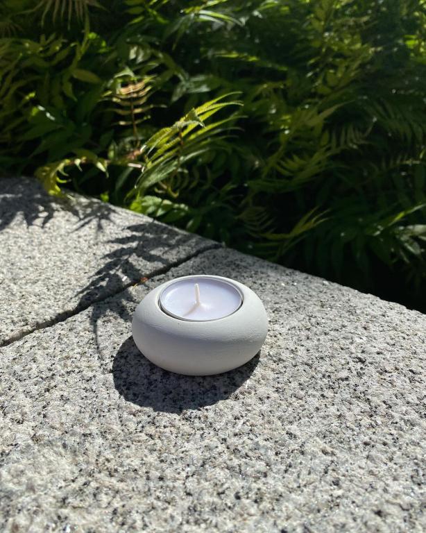 כתום בניית אתרים כתום בניית אתרים