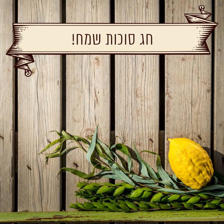 י ביבי ייבוא ושיווק י ביבי ייבוא ושיווק