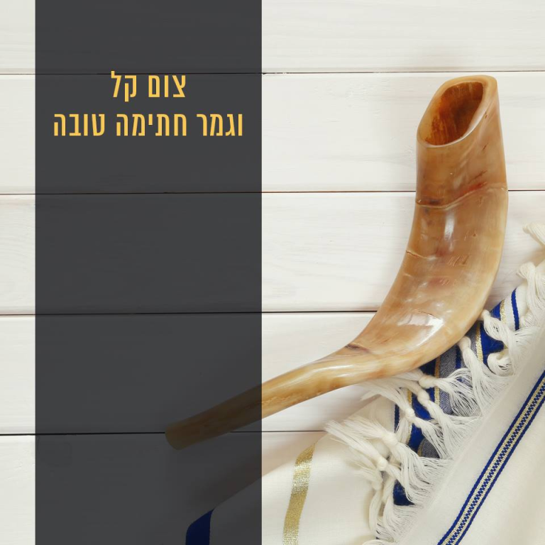 י ביבי ייבוא ושיווק י ביבי ייבוא ושיווק