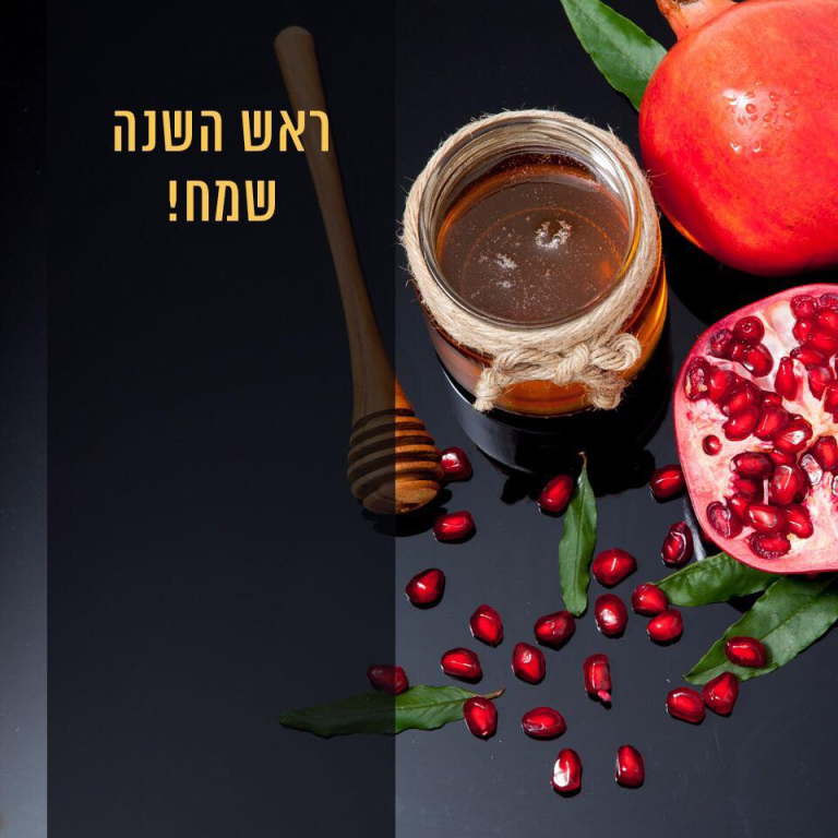 י ביבי ייבוא ושיווק י ביבי ייבוא ושיווק