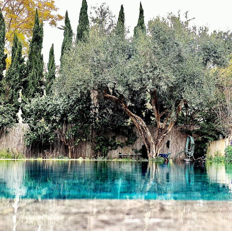 פלגים בריכות ועוד פלגים בריכות ועוד