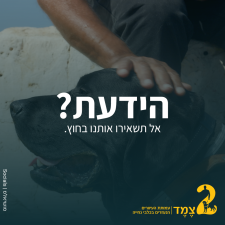 צמד עמותת העיוורים הנעזרים בכלבי נחייה