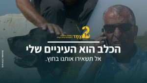 צמד עמותת העיוורים הנעזרים בכלבי נחייה