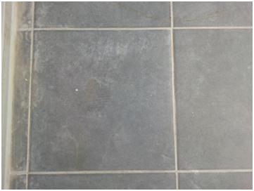 המרכז הישראלי בדק בית המרכז הישראלי בדק בית