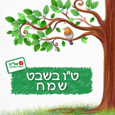 מיחזורית חלמית 24