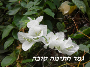 עלים אומנות שימושית