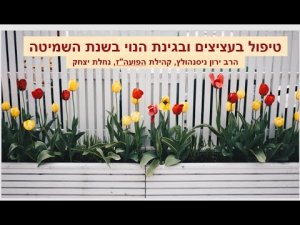 בית כנסת הפועל המזרחי