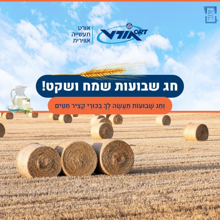 אורט תעשייה אווירית אורט תעשייה אווירית