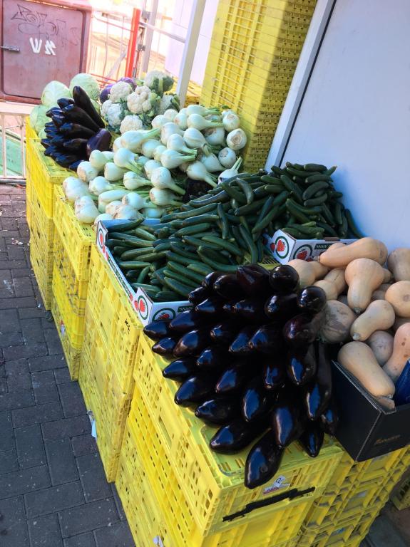 טל מרקט טל מרקט