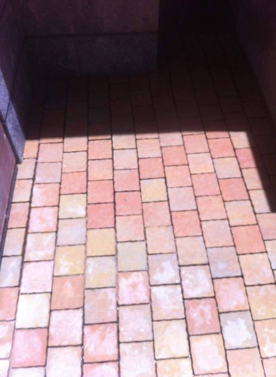 באדל אחריות באדל אחריות