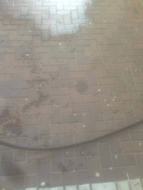 באדל אחריות באדל אחריות