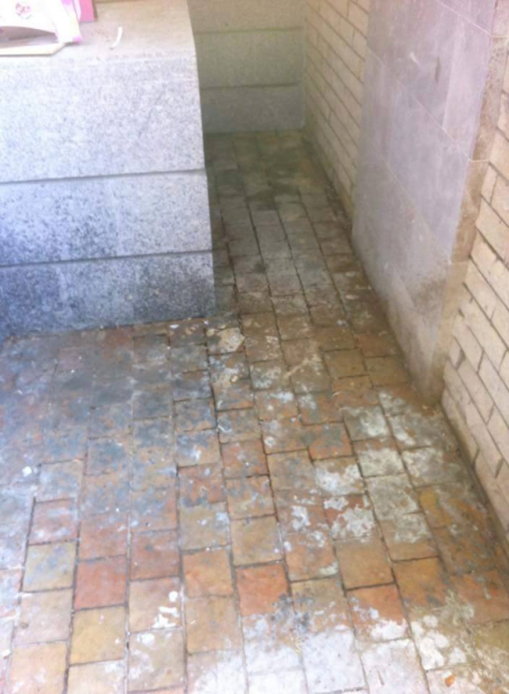 באדל אחריות באדל אחריות