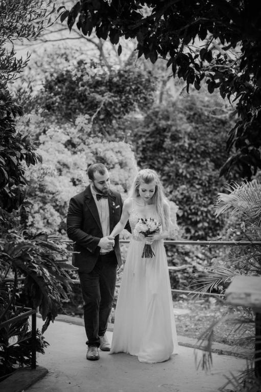 חיים אפריאט חיים אפריאט