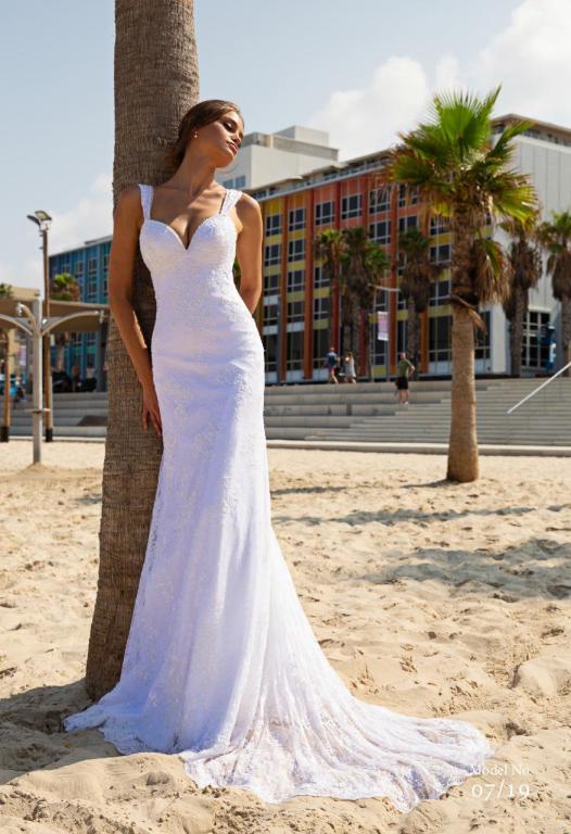 עמרני אילה עמרני אילה