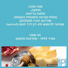 אמיר 1999 פתרונות מחשוב