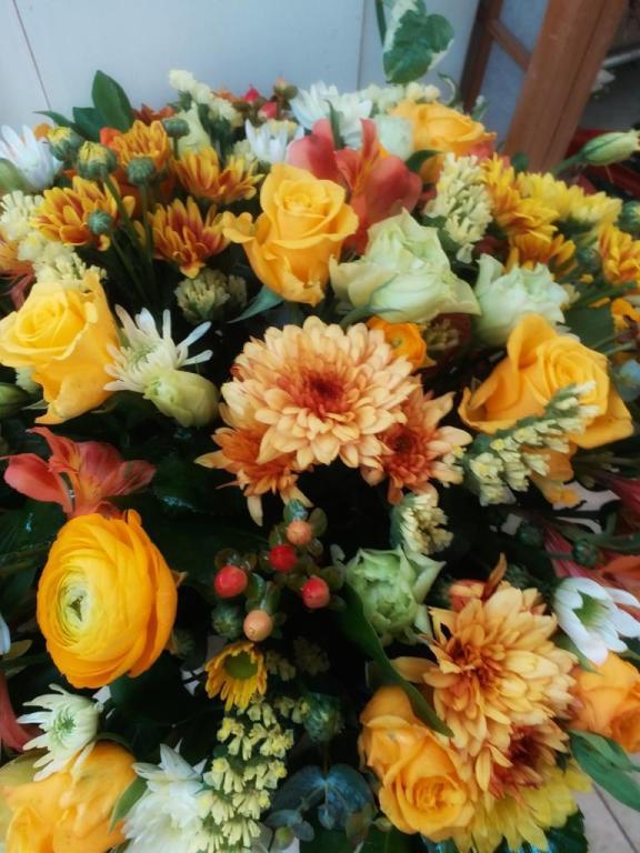 פרחים חנות הפרחים של אורלי פרחים חנות הפרחים של אורלי