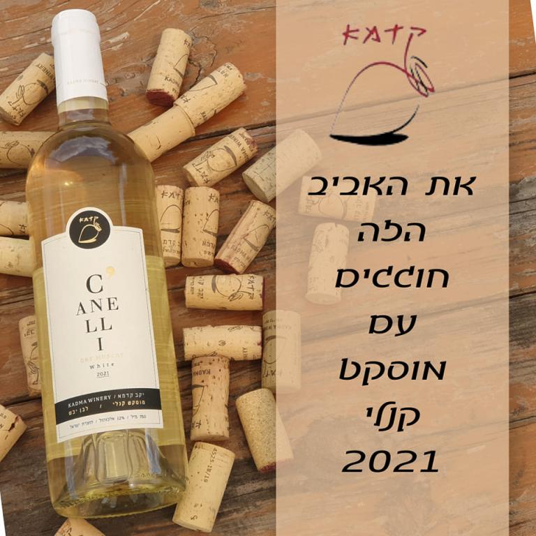 יקב קדמא יקב קדמא