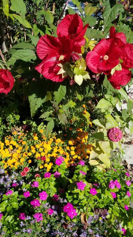 נאוה קוסמטיקה נאוה קוסמטיקה