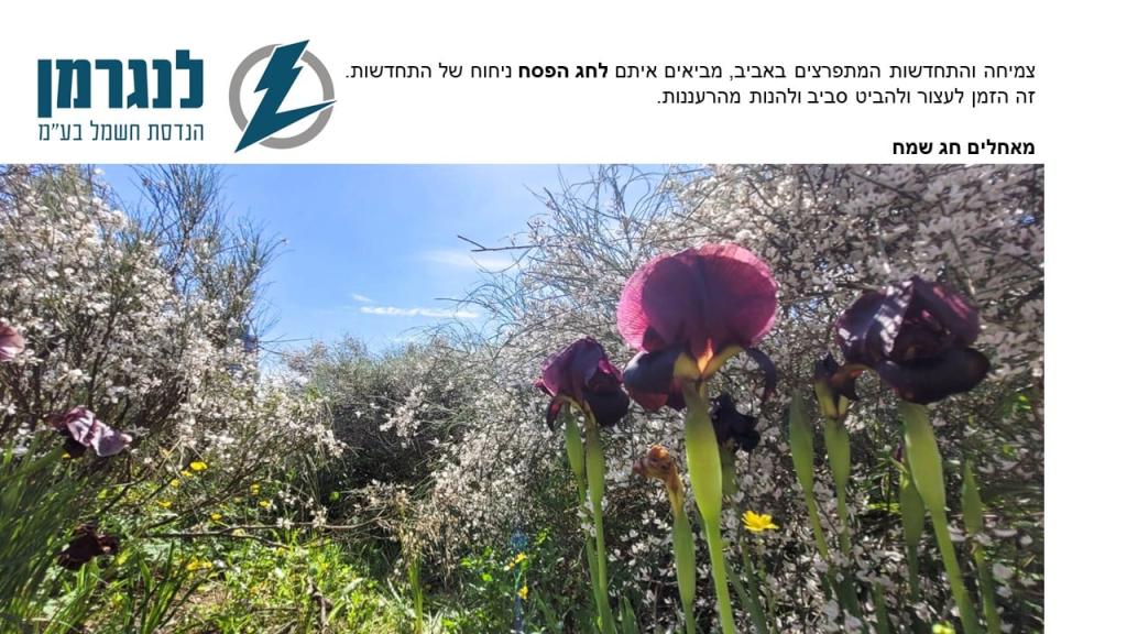 משה לנגרמן הנדסאי חשמל משה לנגרמן הנדסאי חשמל