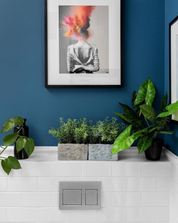 סטודיו 84 צבעים סטודיו 84 צבעים