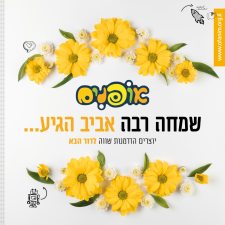 אופנים