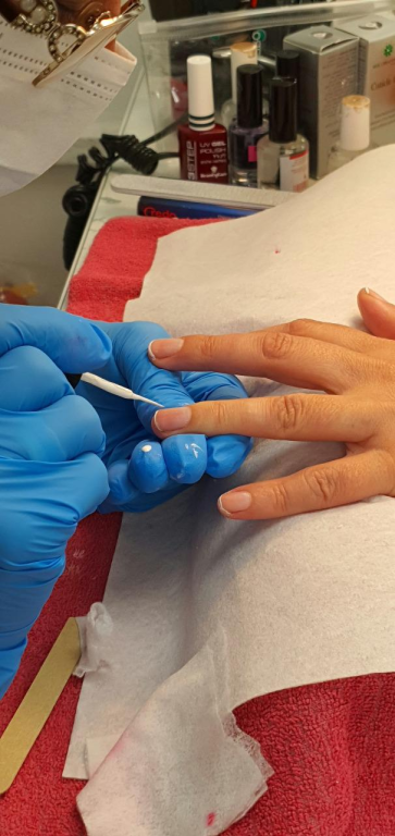 דיאנה המכון הישראלי לספרות דיאנה המכון הישראלי לספרות