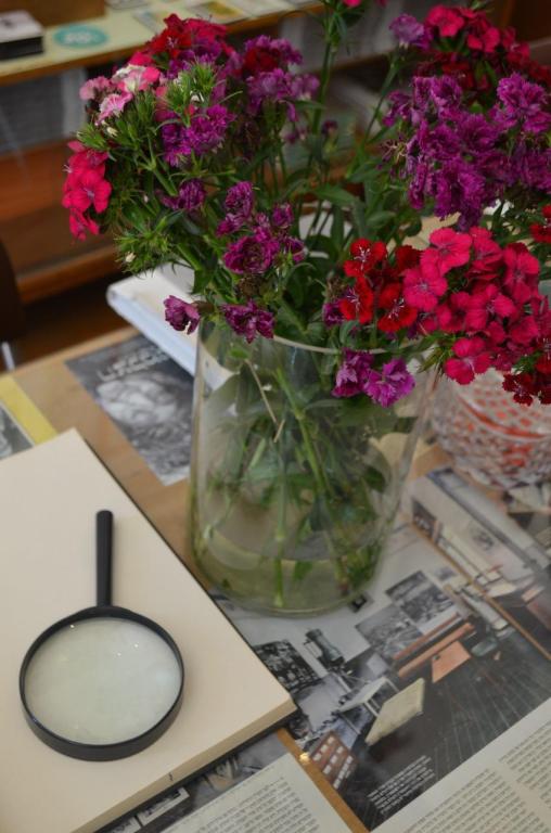 הצלמניה הצלמניה