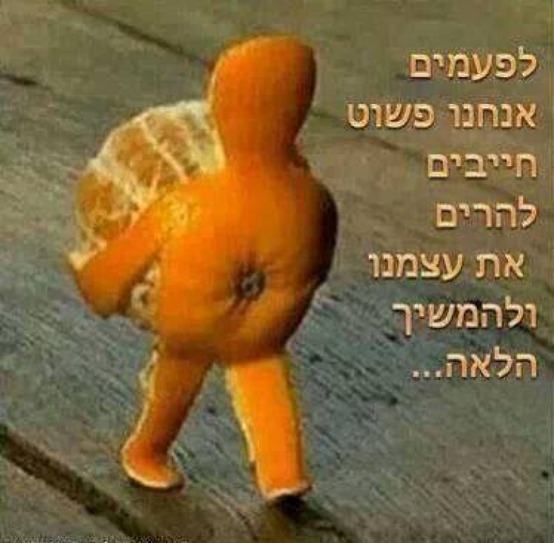 ענבל הילי ערה משרד עורכי דין ענבל הילי ערה משרד עורכי דין