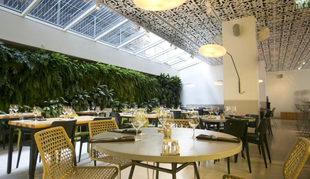 סקיילייט דנפל סקיילייט דנפל