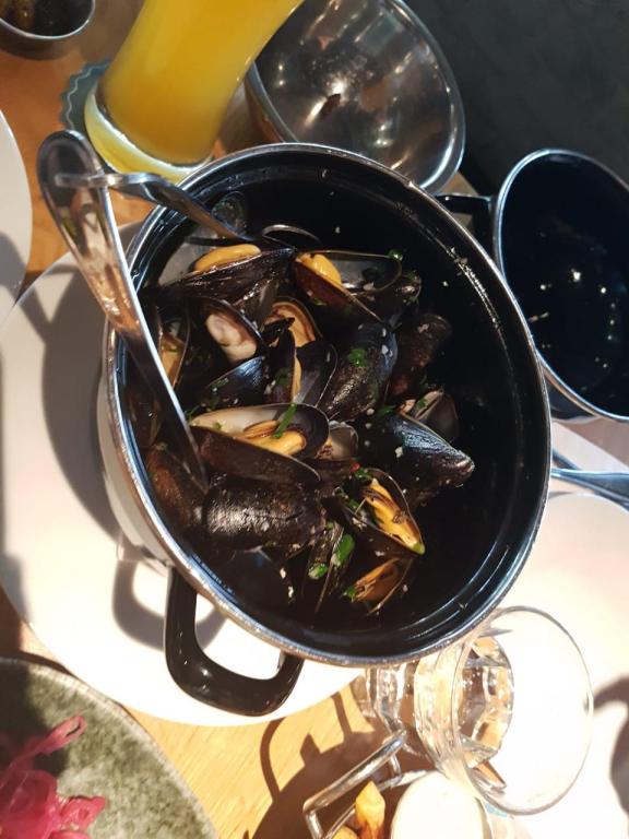 גוצ'ה רמת החייל גוצ'ה רמת החייל