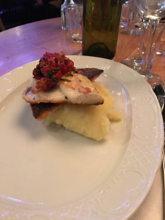 גוצ'ה רמת החייל גוצ'ה רמת החייל