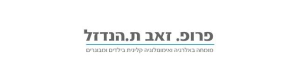 פרופ' זאב הנדזל