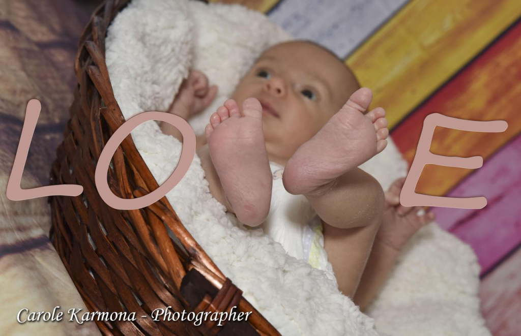 קרול קרמונה צילום ועיצוב קרול קרמונה צילום ועיצוב