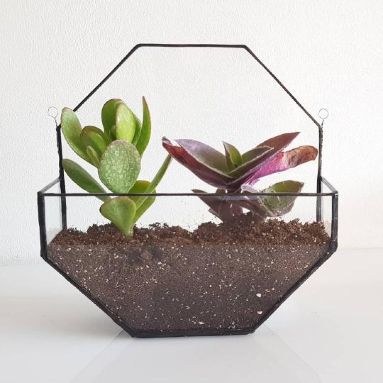 ויטראז' נירה קמחי ויטראז' נירה קמחי