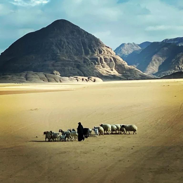 כלים קשובים יפעת דננברג כלים קשובים יפעת דננברג