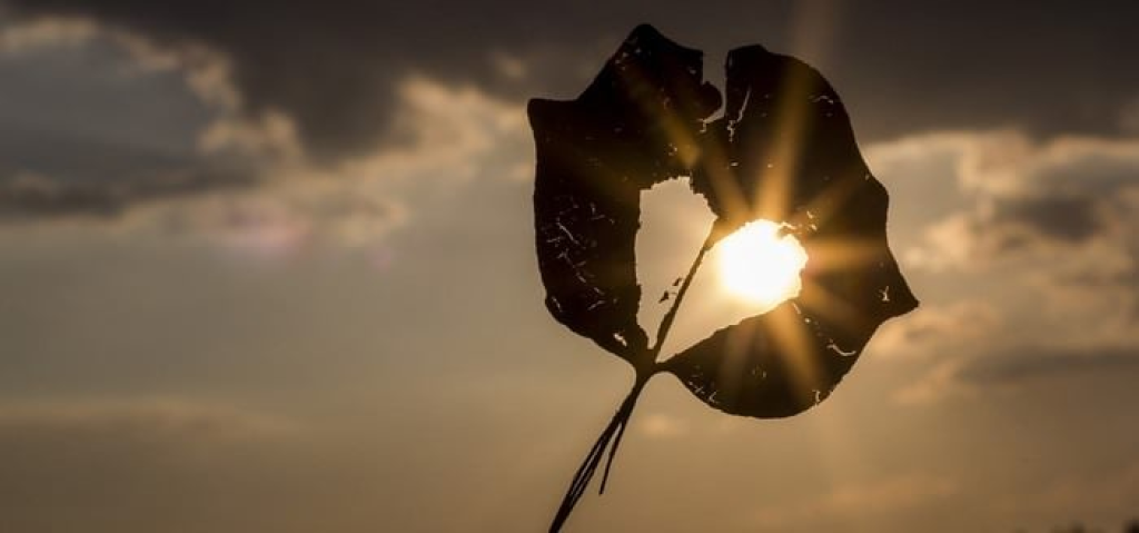 כלים קשובים יפעת דננברג כלים קשובים יפעת דננברג