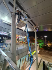 נשר הרחקת יונים