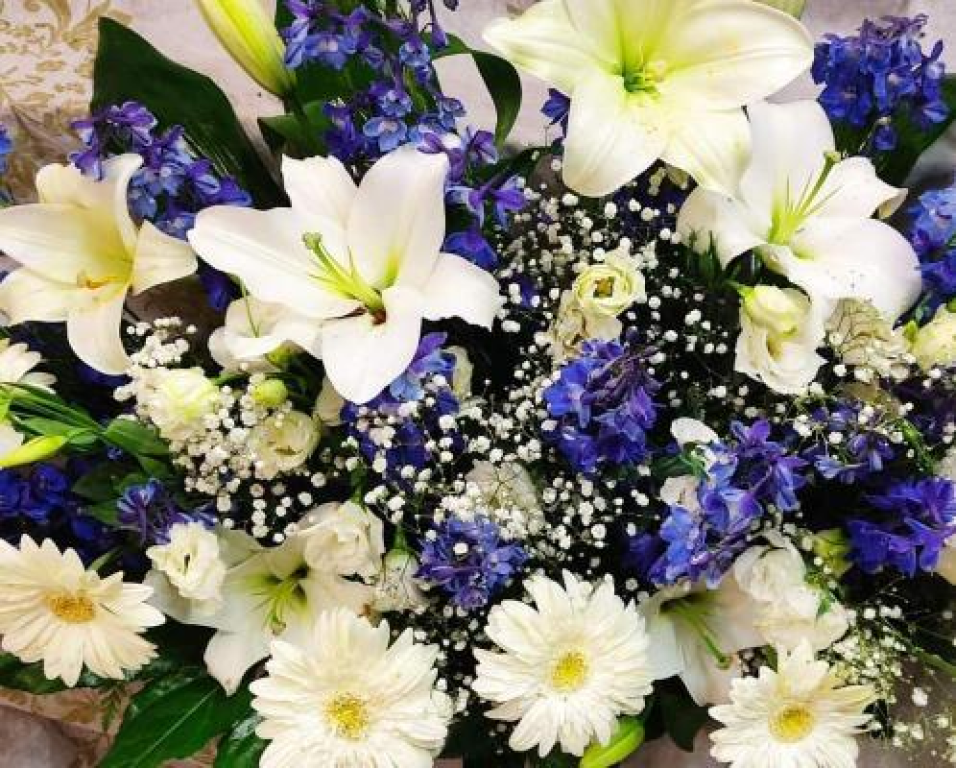 דגש ירוק דגש ירוק