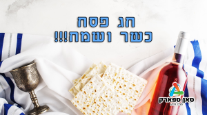 סאן ספארק מרכז הידע