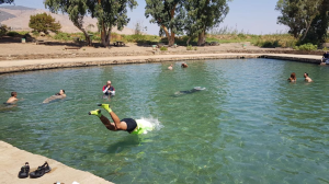 נוף לגלבוע