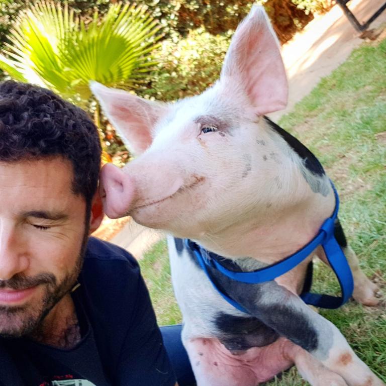 המרפאה הניידת וטרינר ביקור בית המרפאה הניידת וטרינר ביקור בית