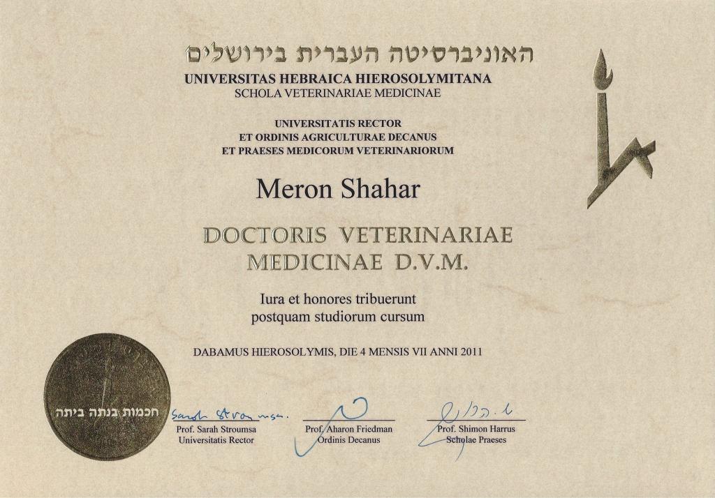 המרפאה הניידת וטרינר ביקור בית המרפאה הניידת וטרינר ביקור בית