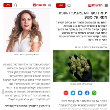 עו"ד מעיין חיימוביץ'