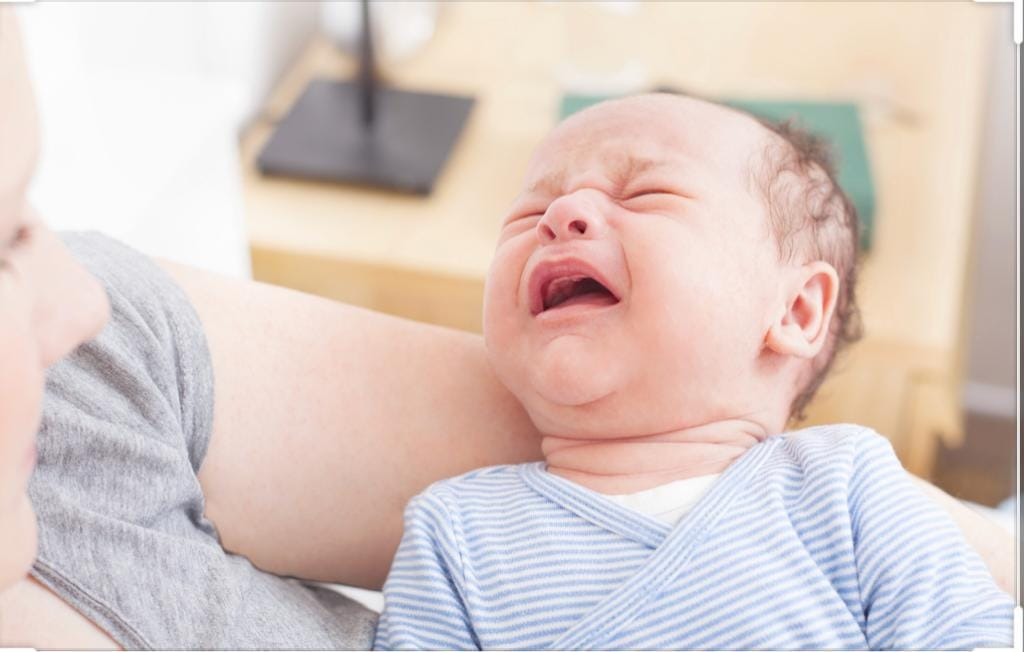 ד"ר שלמה כהן ד"ר שלמה כהן