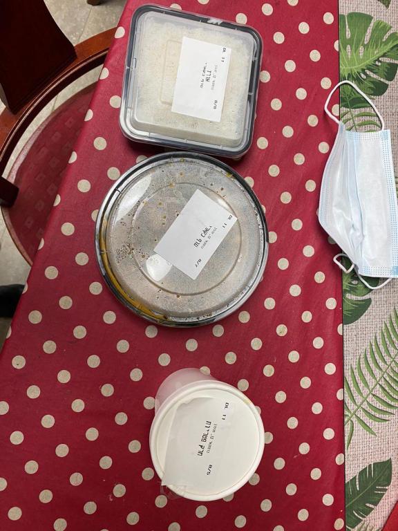 שגב אקספרס שגב אקספרס