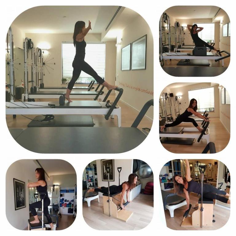 מיכל כץ מיכל כץ