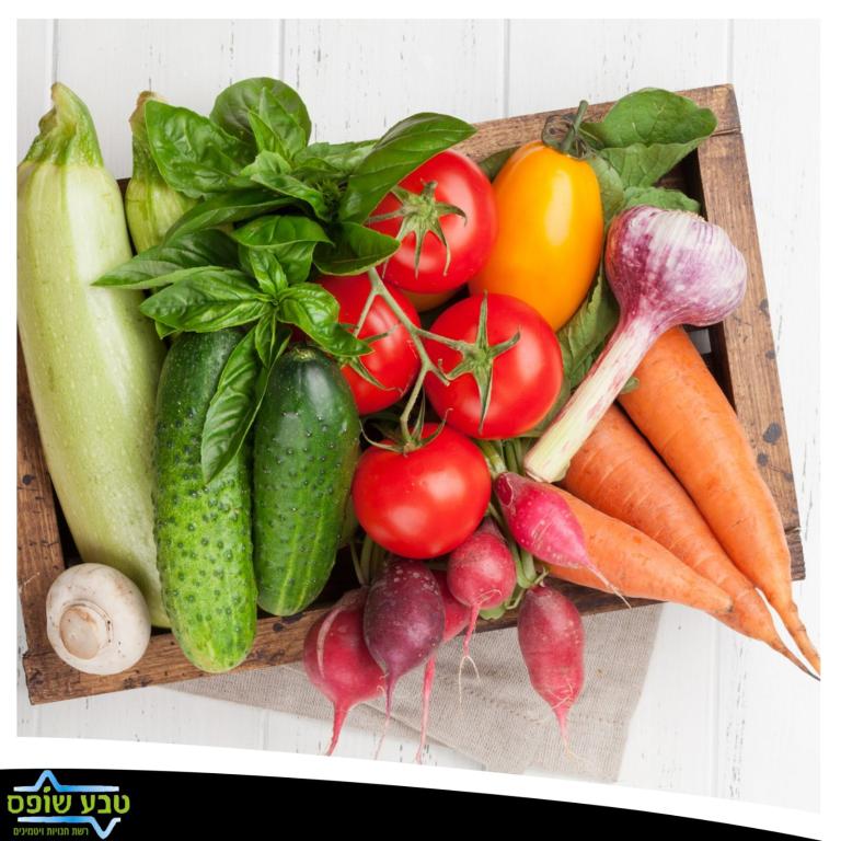 טבע שופס טבע שופס